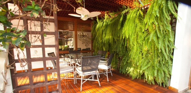 Crie um Refúgio Tropical com Samambaias Suspensa - ideia