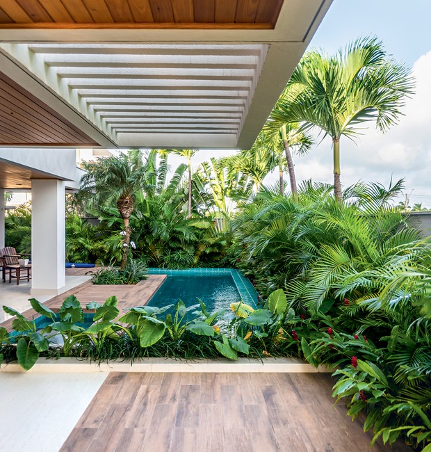 Paisagismo com Palmeiras Elegantes: Um Toque Tropical Sofisticado - detalhe