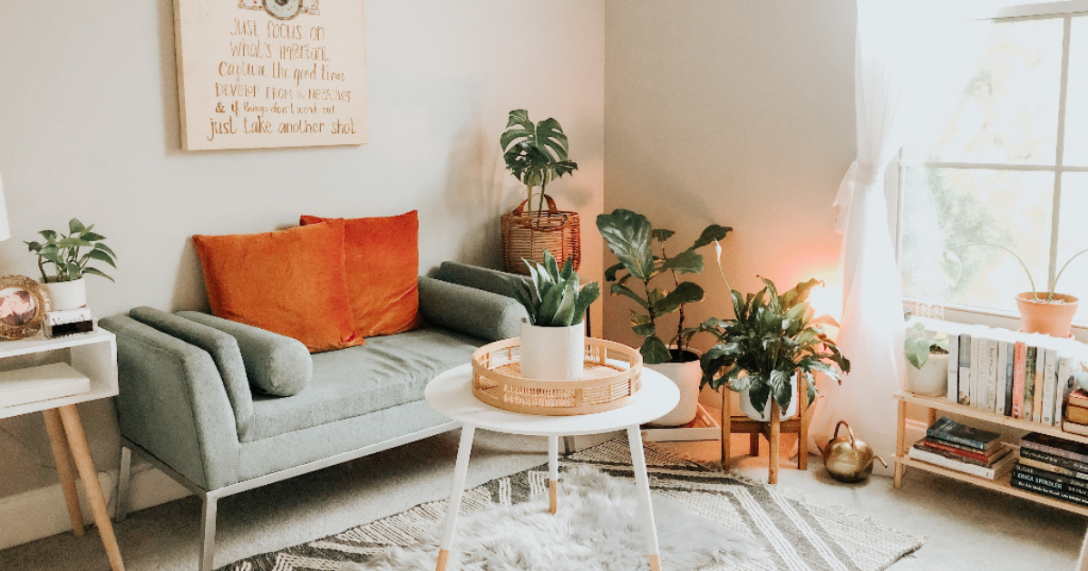 Plantas e Espelhos: Ampliando Horizontes - inspiração