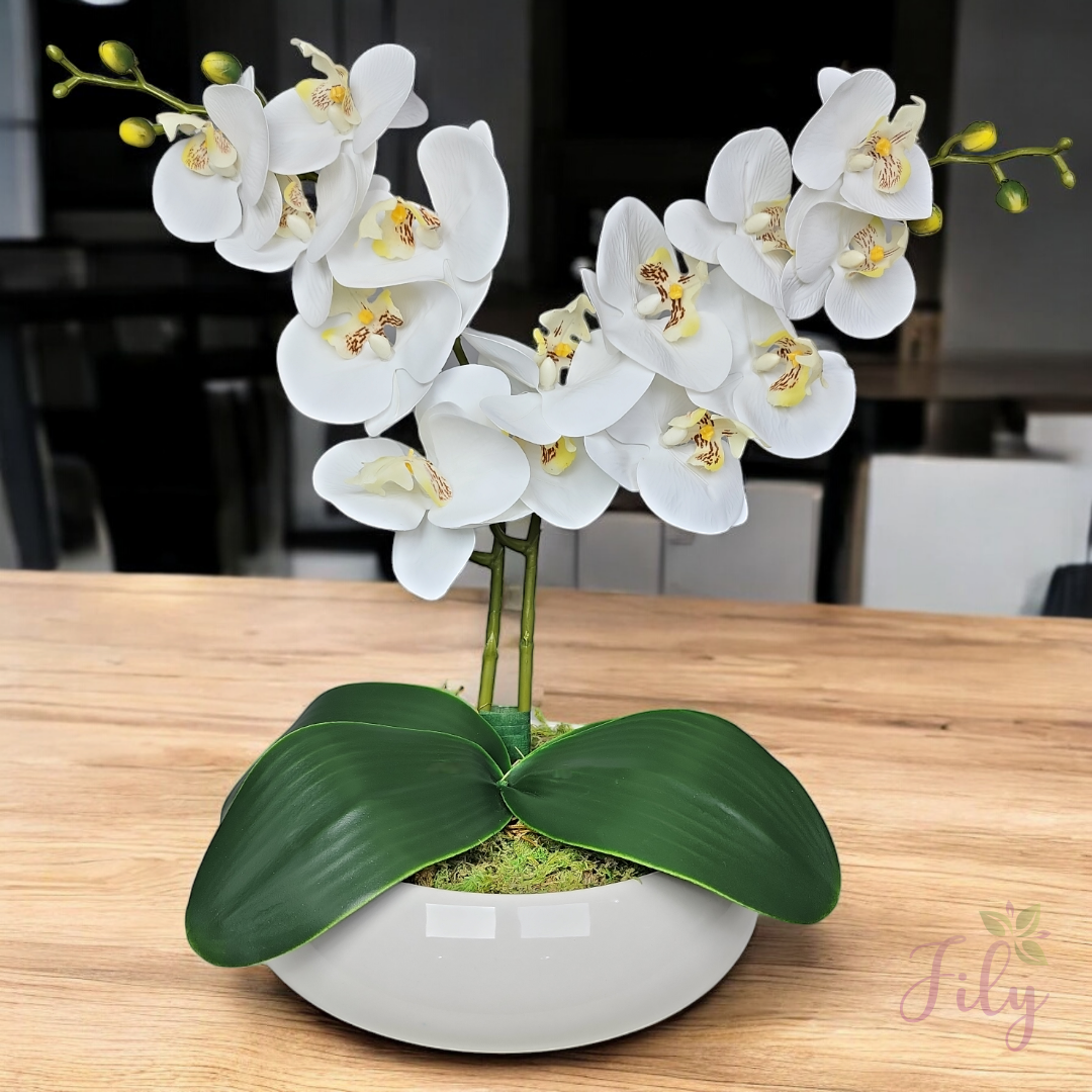 Orquídeas Elegantes em Cachepots de Cerâmica Artesanal - inspiração