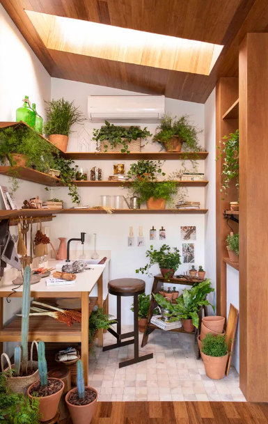 Prateleiras com Plantas e Temperos: Um Jardim Vertical na Sua Cozinha - inspiração