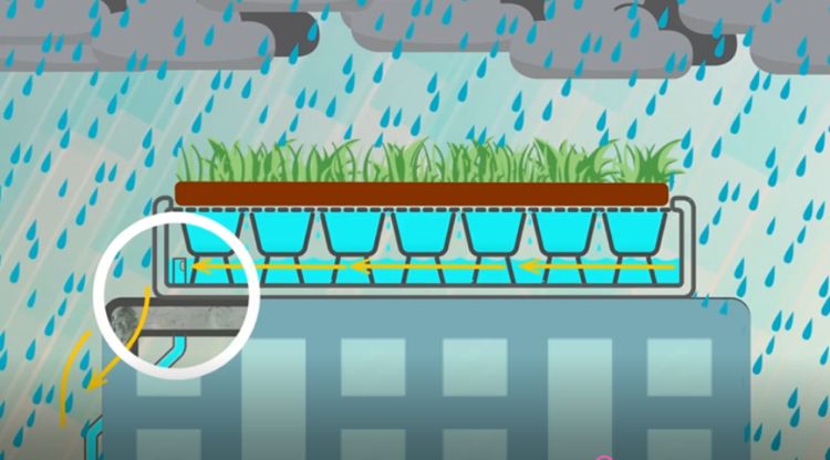 Em Telhados Verdes com Captação Otimizada - detalhe