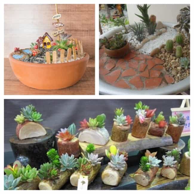 Mini Jardim Zen em Vasos de Cerâmica: Paz e Harmonia em Pequenos Espaços - detalhe