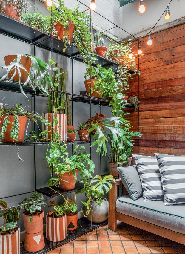 Nichos Verticais com Plantas Pendentes: Natureza Vibrante - detalhe