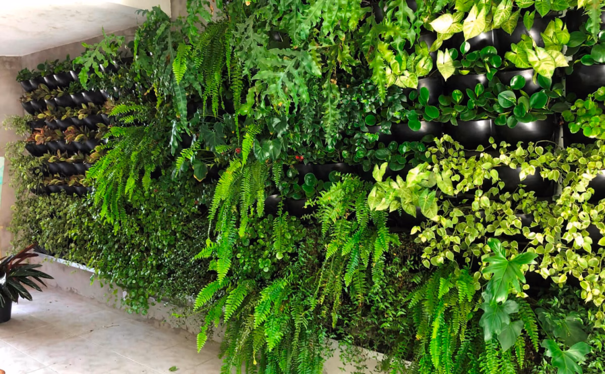 Cantinho Verde Vertical: O Paraíso Particular - detalhe