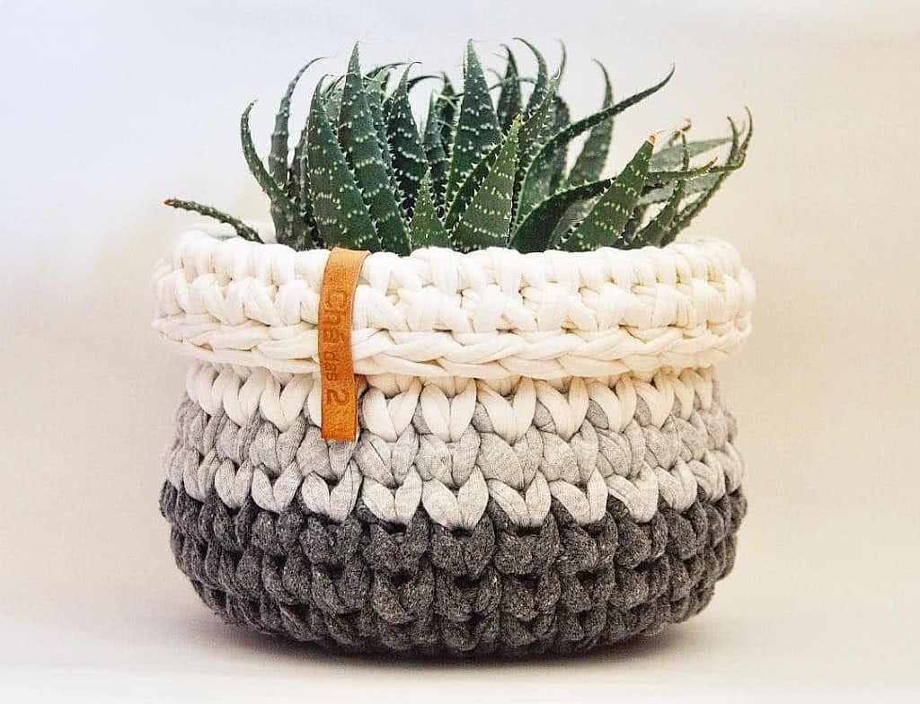 Cachepôs Naturais com Galhos e Folhas: A Essência da Natureza Dentro de Casa - ideia