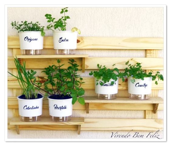 Com Horta Vertical e Temperos Frescos: Beleza e sabor ao alcance das mãos - detalhe