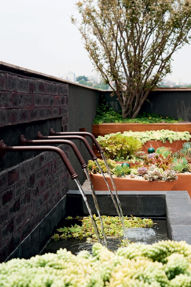 Fonte com Espelho D'água e Deck de Madeira: Refúgio Contemporâneo - ideia