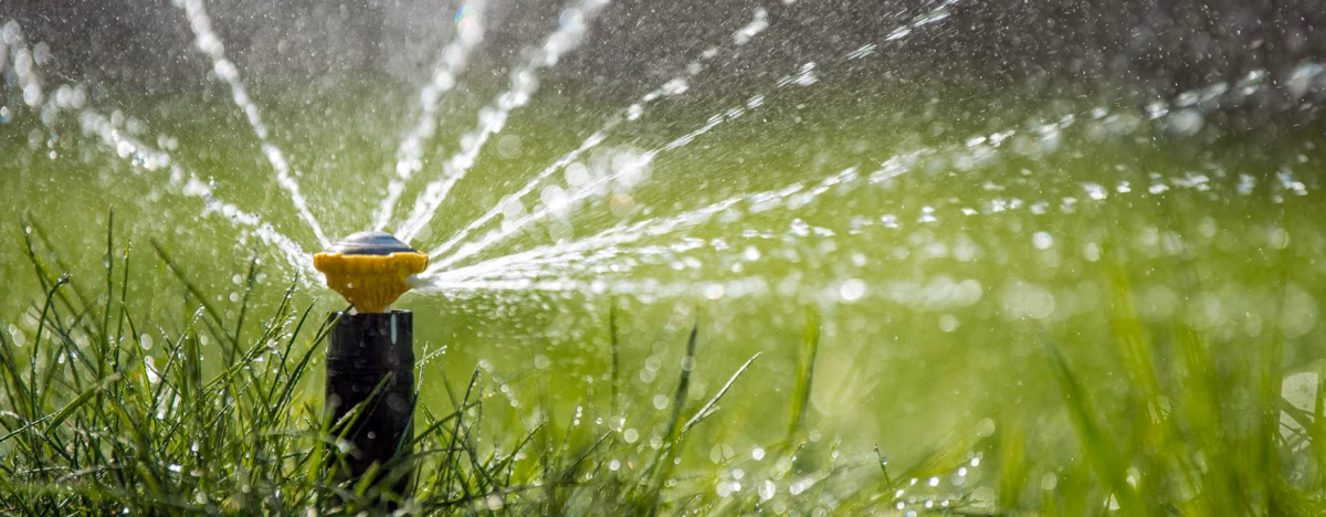 Com Cisterna para Água da Chuva: Sustentabilidade e Economia Garantidas - ideia