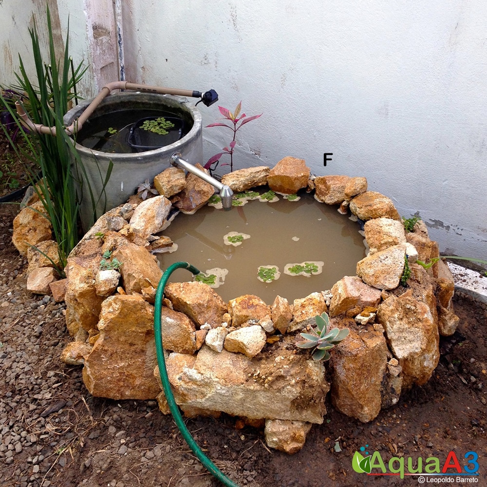 Lago Biodinâmico com Filtro de Areia e Cascalho Exposto - ideia