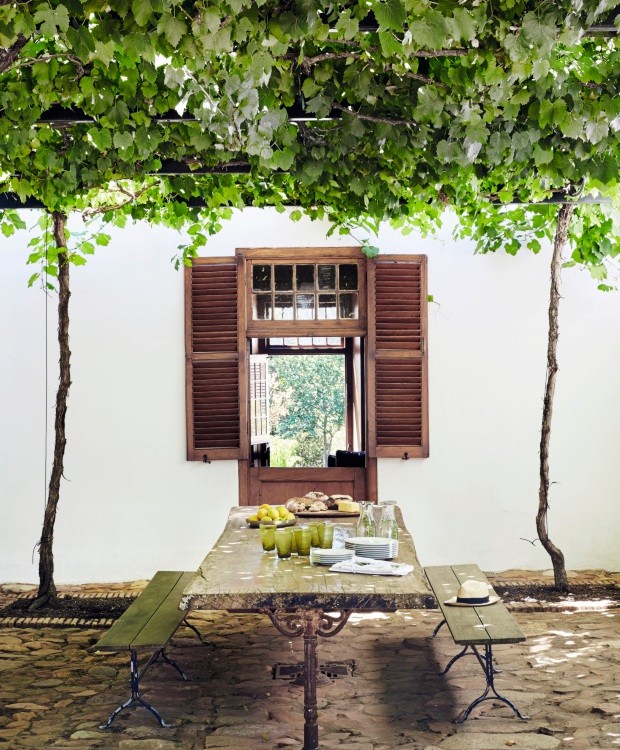 Muro com Treliças e Trepadeiras Perfumadas: Um Jardim Vertical Romântico - detalhe