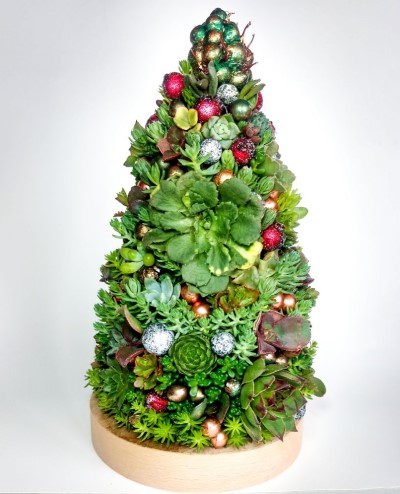 Decoração de Natal Com Suculentas: Um Toque Verde e Moderno Para Celebrar - inspiração