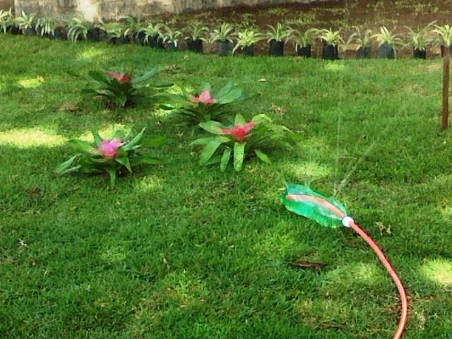 Sustentabilidade em Ação: Jardins em Garrafas PET - ideia