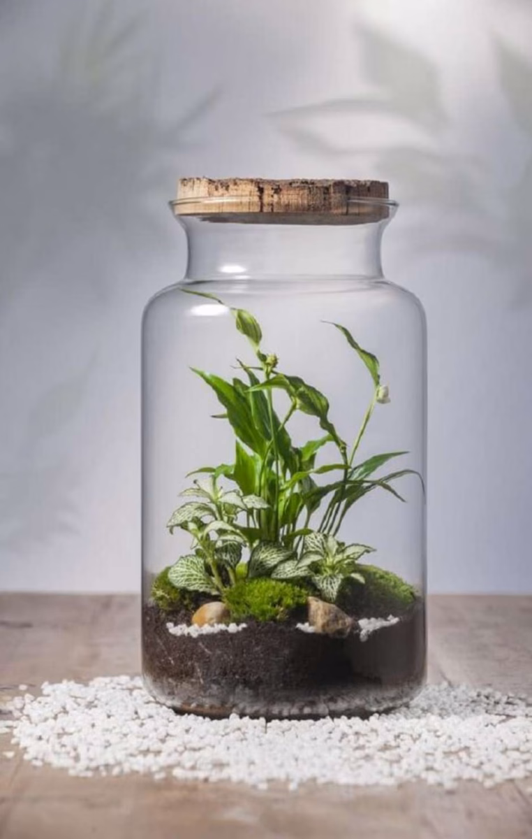 Jardins em Terrários Fechados: Mini Ecossistemas Encantadores - ideia