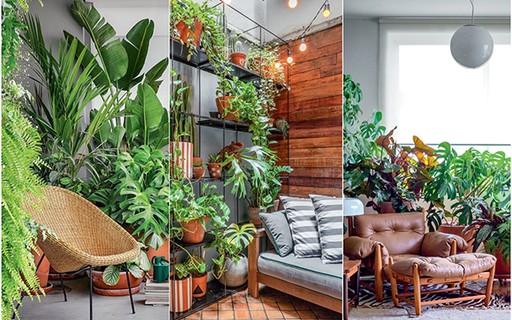 Cantinho Verde Vertical: O Paraíso Particular - ideia