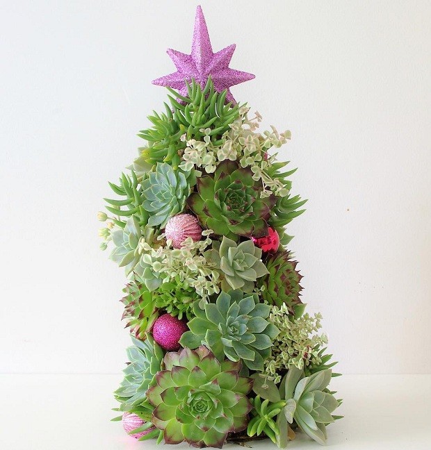 Decoração de Natal Com Suculentas: Um Toque Verde e Moderno Para Celebrar - detalhe