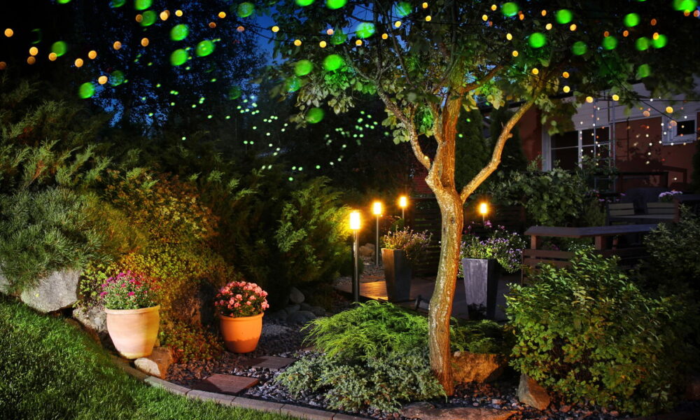 Jardim Iluminado com Pedras Fluorescentes e Focos de Luz Direcionados - inspiração