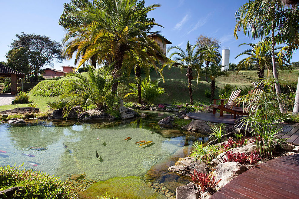 Com Design Biofílico e Integração à Natureza - detalhe