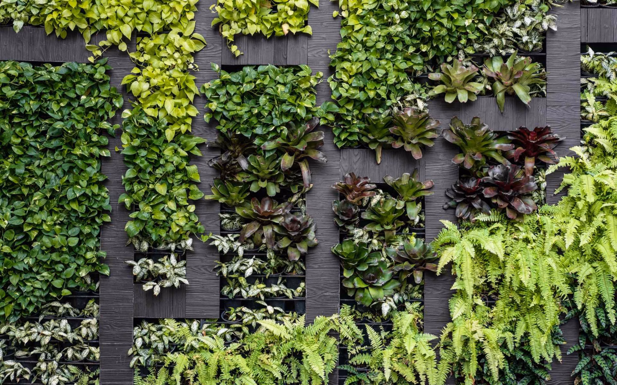 Em Jardins Verticais Adubados: Otimização de Espaço e Elegância Verde - detalhe