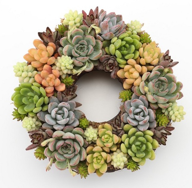 Decoração de Natal Com Suculentas: Um Toque Verde e Moderno Para Celebrar - ideia