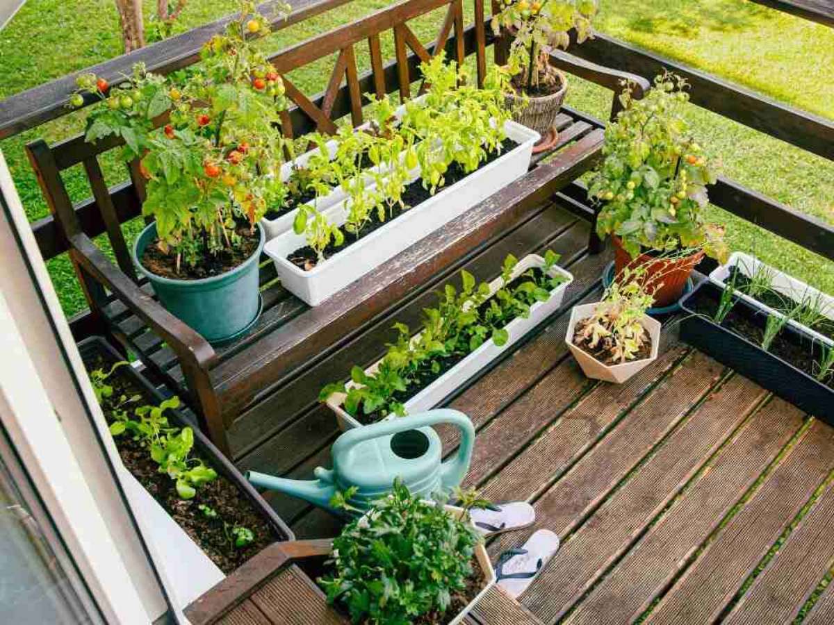 Horta dentro de Casa: Uma Selva Urbana ao Seu Alcance - ideia