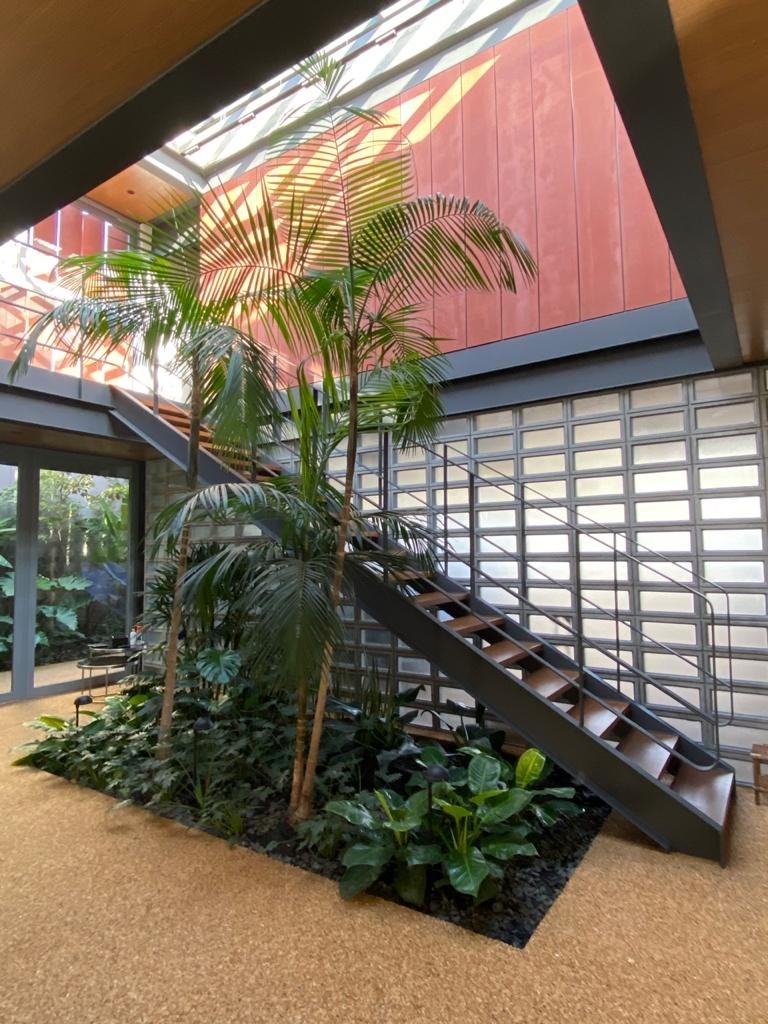 Com Decoração Suspensa: A Arte de Cultivar no Alto - ideia