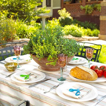 Mesa Posta com Plantas e Ervas Aromáticas: Frescor e perfume para a refeição - inspiração