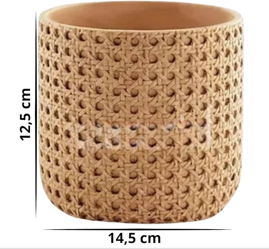 Cachepôs Rústicos de Cimento: Minimalismo Elegante e Textura Marcante - inspiração