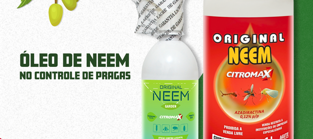 Óleo de Neem: O Tratamento Orgânico que Elimina Pragas Sem Agredir a Natureza - detalhe