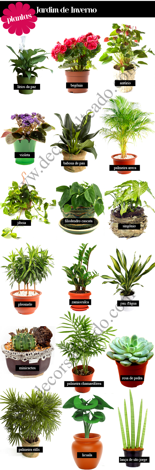 Paleta de Tons Terrosos: Suculentas e Pedras Ornamentais - ideia