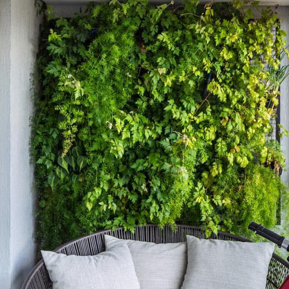 Painel Vertical com Samambaias Pendentes: Elegância Verde e Frescor - ideia