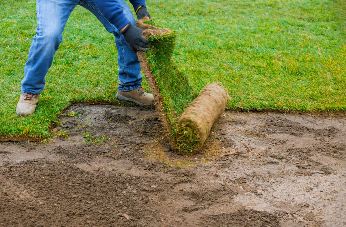 Em Formas Geométricas Modernas - ideia