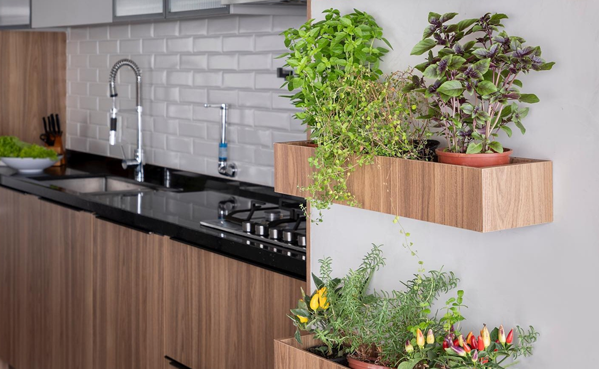 Com Plantas e Temperos Frescos à Mão - detalhe