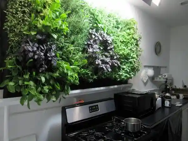 Com Plantas e Ervas Frescas: Um Jardim Vertical na Sua Cozinha Preta - ideia