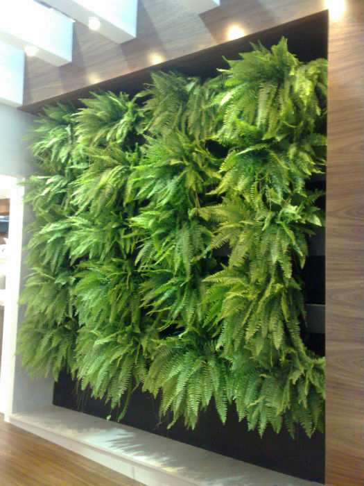 Jardim Vertical de Samambaias em Pallets: Rusticidade e Elegância - inspiração