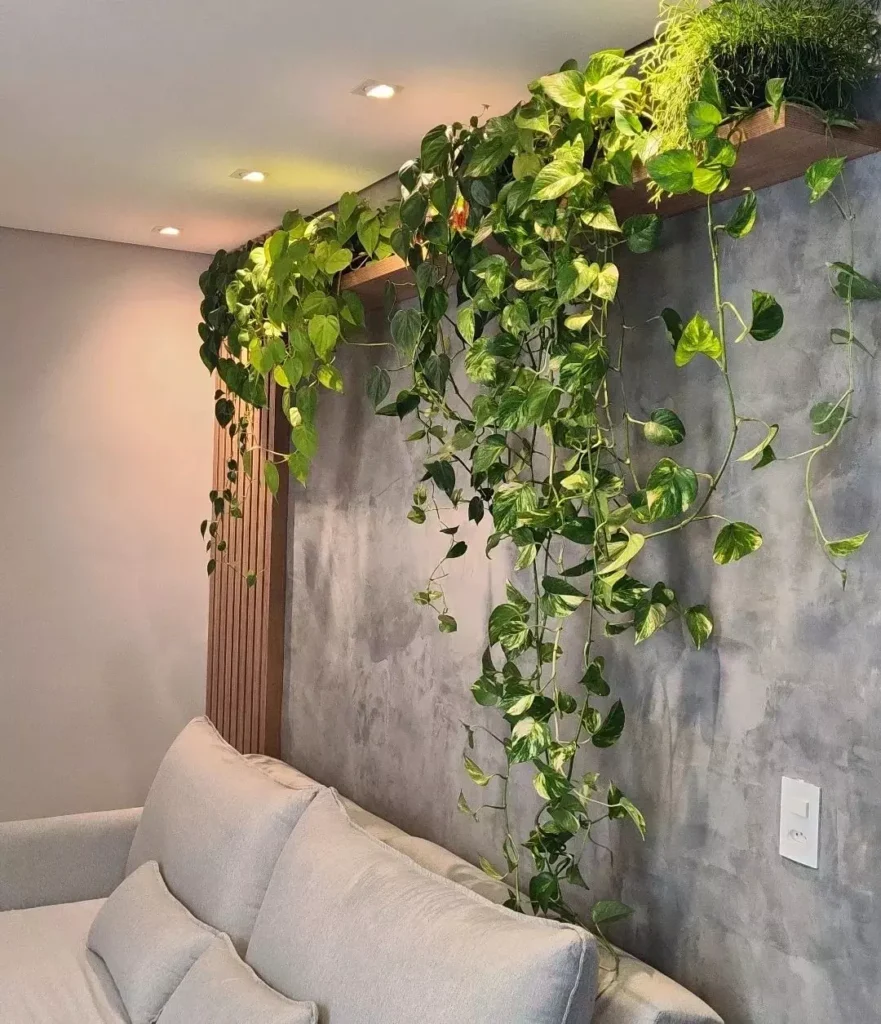 Prateleiras Flutuantes com Plantas Suspensas: Um Jardim Vertical - detalhe