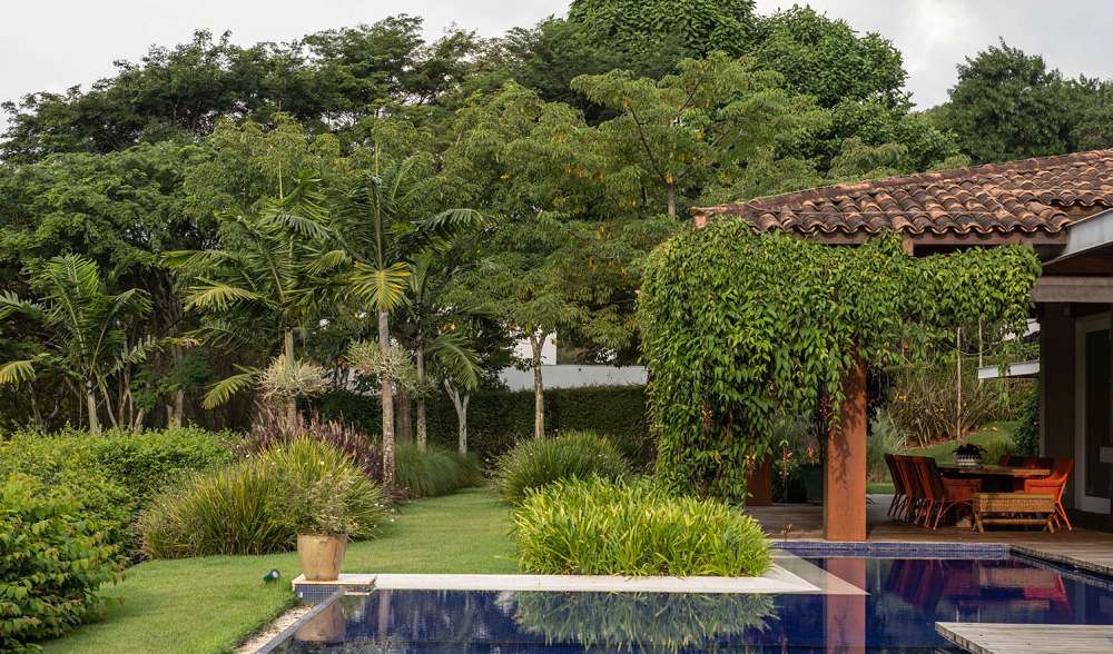 Um Jardim Secreto: Pátio Murado com Trepadeiras Floridas - inspiração