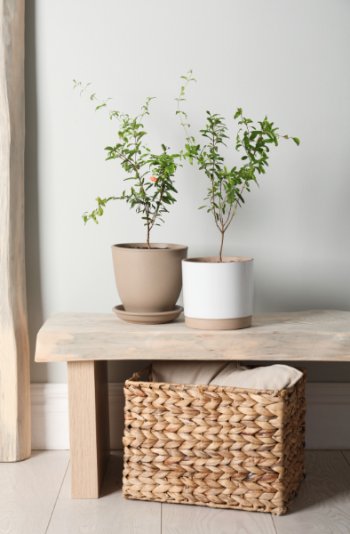 Estilo Natural: Cestas de Palha e Decoração com Plantas - inspiração