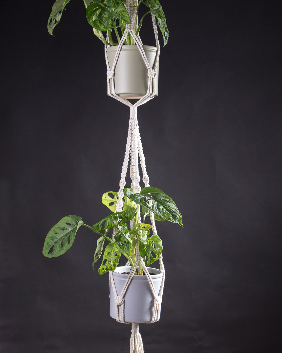 Mini Selva Urbana: Fitônias em Vasos Suspensos de Macramê - inspiração