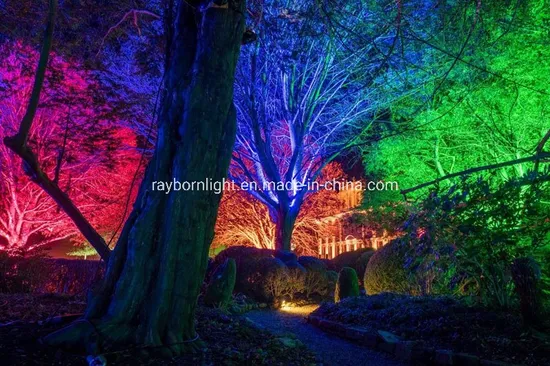 Com Refletores Estratégicos: Árvores Imponentes Ganham Vida Noturna - inspiração