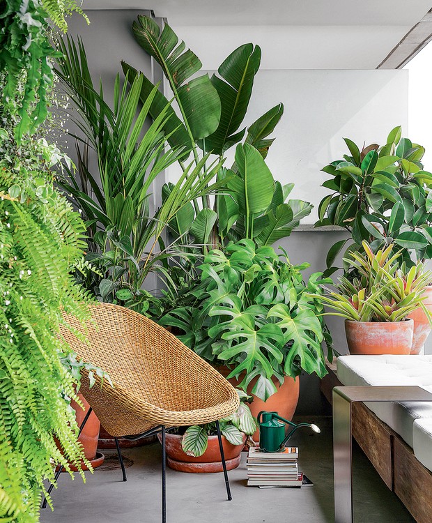 Jardim Tropical em Varandas: Mini paraísos urbanos - ideia