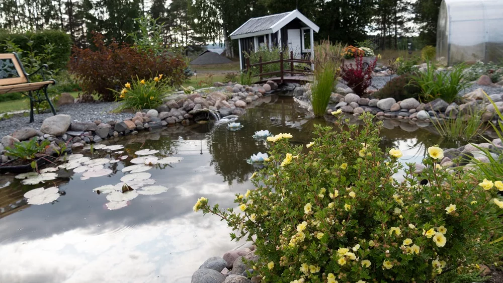 Jardins Sensoriais: Manutenção que Desperta os Sentidos - ideia