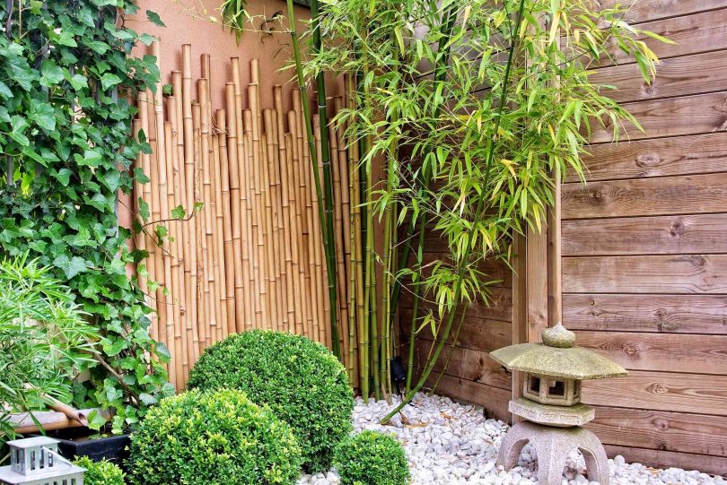Jardins Verticais com Bambu: Uma Parede Viva Cheia de Charme - inspiração