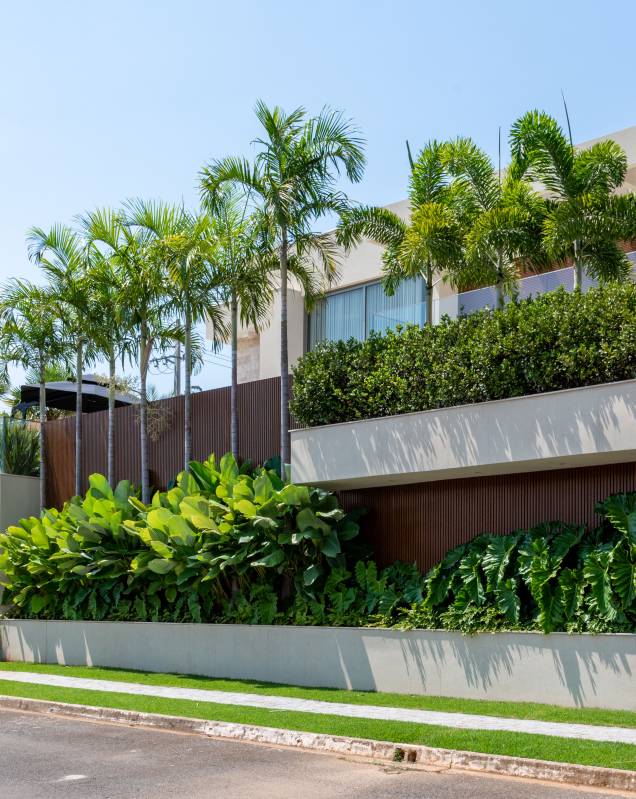 Paisagismo com Palmeiras Elegantes: Um Toque Tropical Sofisticado - ideia