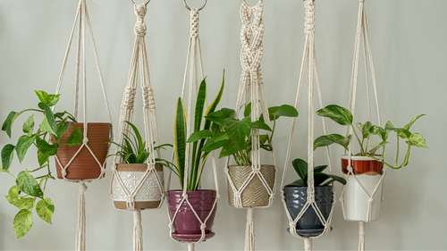 Elegância Suspensa: Jiboias Pendentes em Macramê Boho-Chic - inspiração