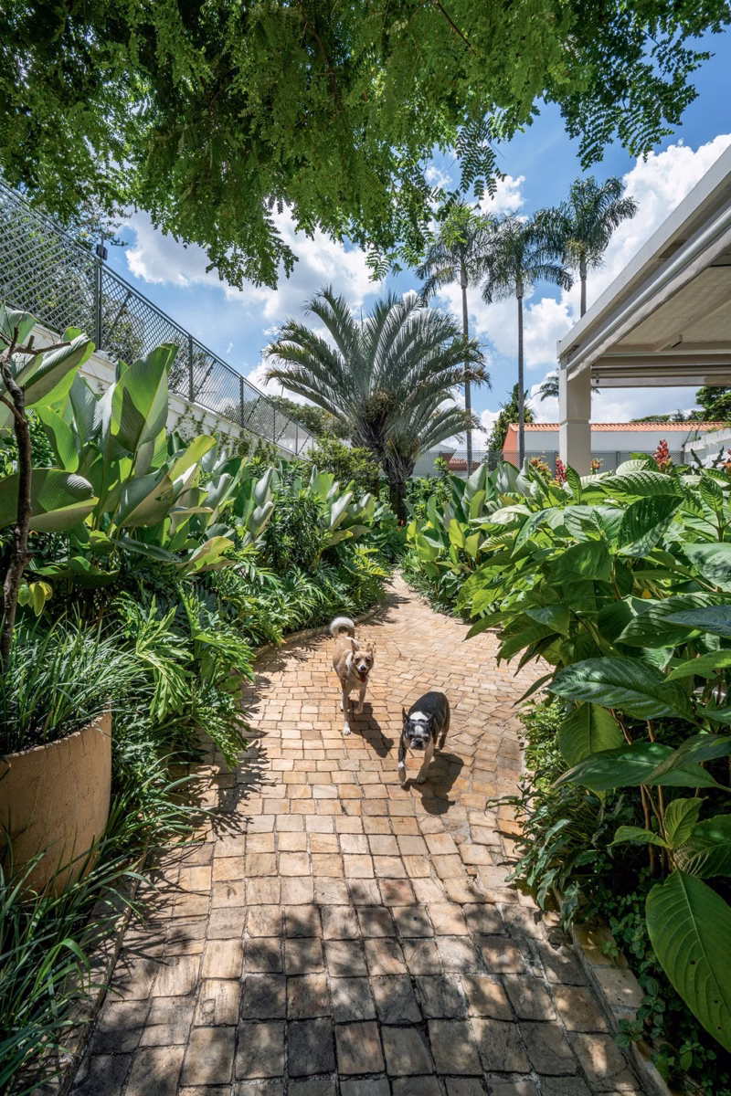 Estilo Rústico com Seixos e Vegetação Nativa: Simplicidade Encantadora - detalhe
