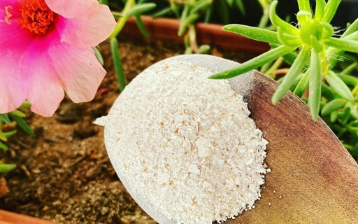 Com Casca de Ovo: Nutrição Natural e Decoração Rústica - detalhe