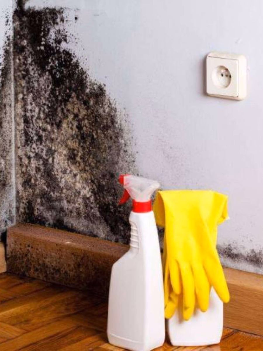 Tecido Estampado como Arte: Uma Solução Criativa e Reutilizável - inspiração