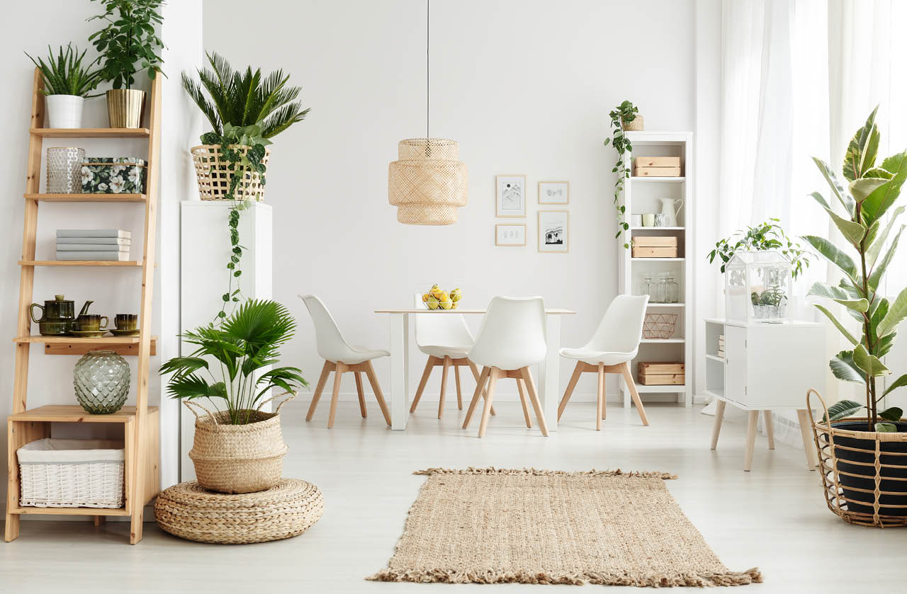 Decoração Escandinava com Plantas Suspensas: Um Oasis de Paz - inspiração