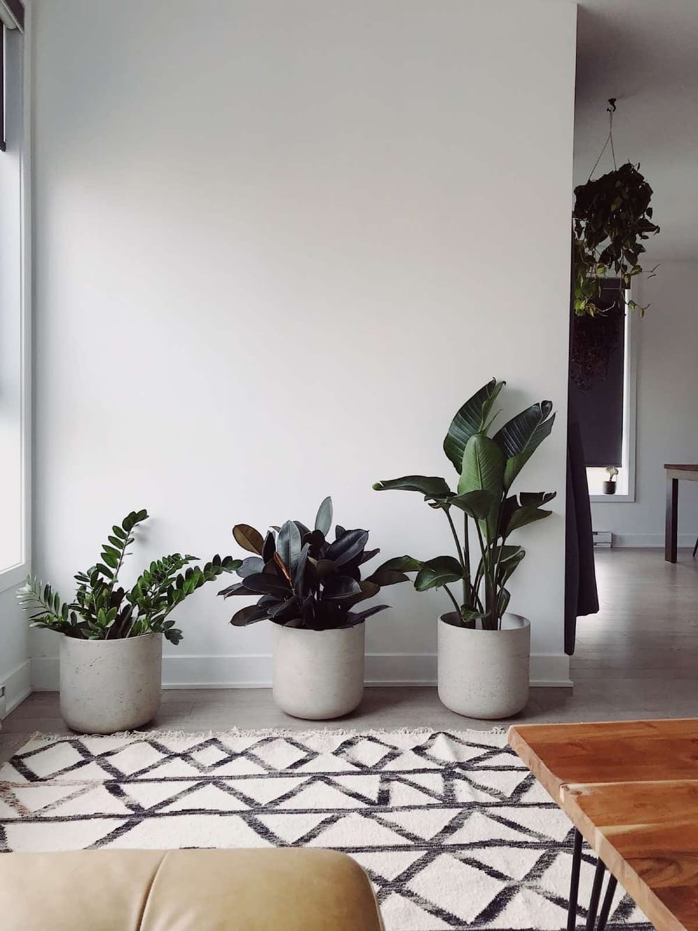 Decoração com plantas: dicas para ...